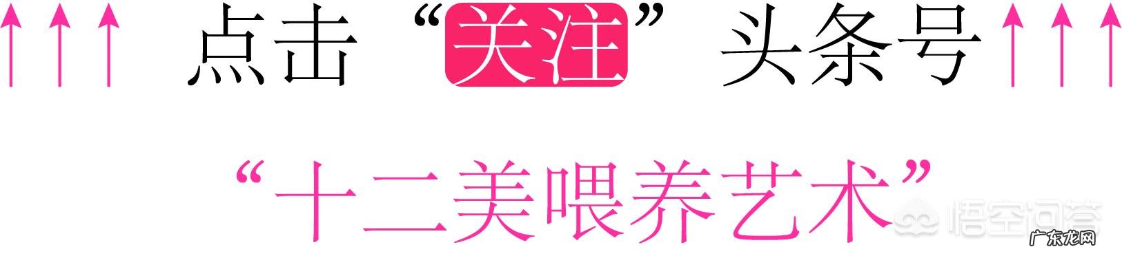 产后穿收腹衣真的能瘦吗为什么