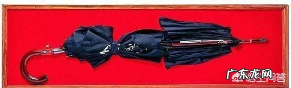 以前在农村常见种植蓖麻,为什么现在种植少了蓖麻有什么作用