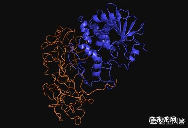 以前在农村常见种植蓖麻,为什么现在种植少了蓖麻有什么作用