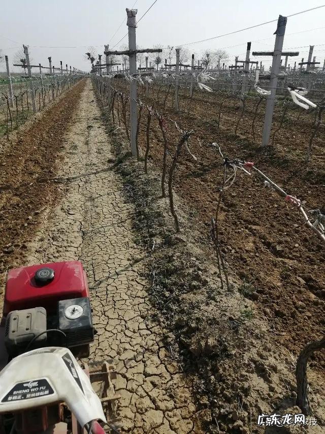 买到的化肥,发现化肥袋二次封口,那化肥是不是假的怎么分辨