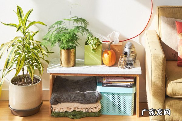 无货源网店可以做吗?无货源淘宝网店怎么做?