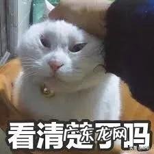 那些被称为“国货之光”的护肤品,真的好用吗