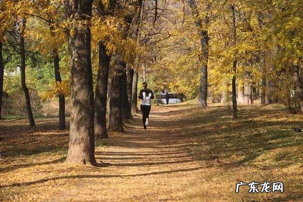 隔天跑一次,每次5km,配速6分半,持续3个月,怎么瘦不下来