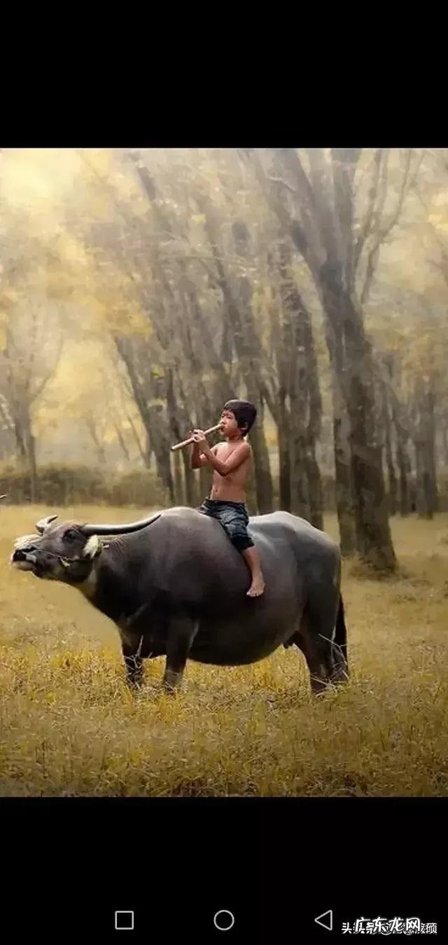 谁能讲一下“除夕”的来历呢