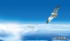 人们生活中最不该没有什么