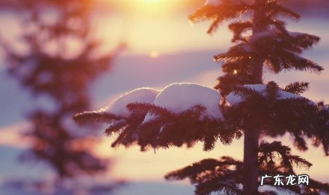 有哪些描写冬日白雪的诗词