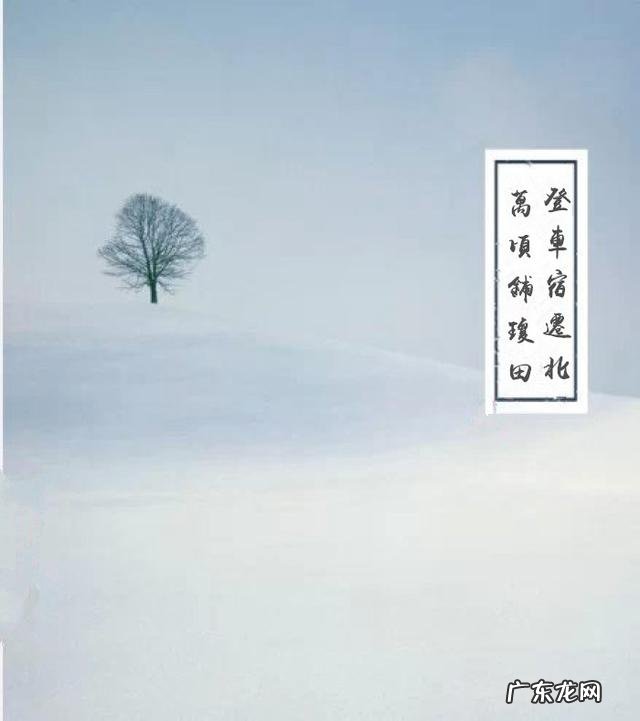 有哪些描写冬日白雪的诗词