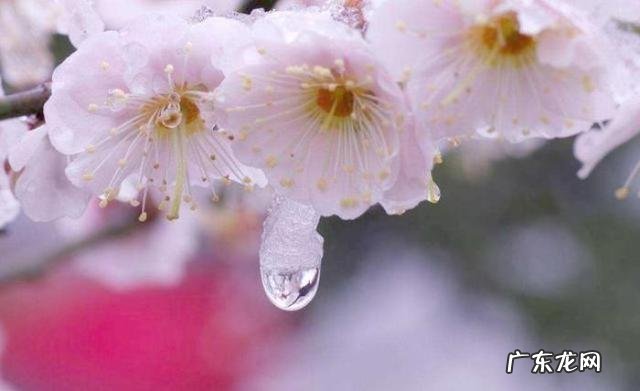 有哪些描写冬日白雪的诗词