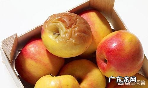 全球最毒的十种食物是什么