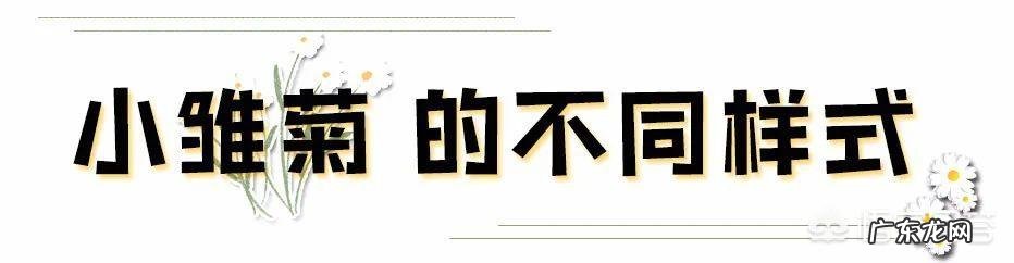想学个一技之长,希望大家给一些建议!谢谢