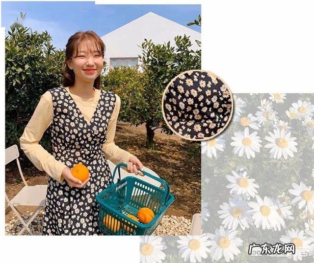 想学个一技之长,希望大家给一些建议!谢谢