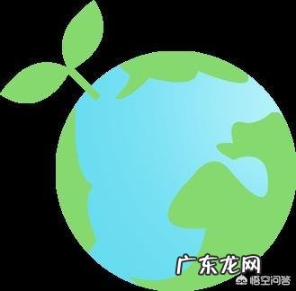 想学个一技之长,希望大家给一些建议!谢谢