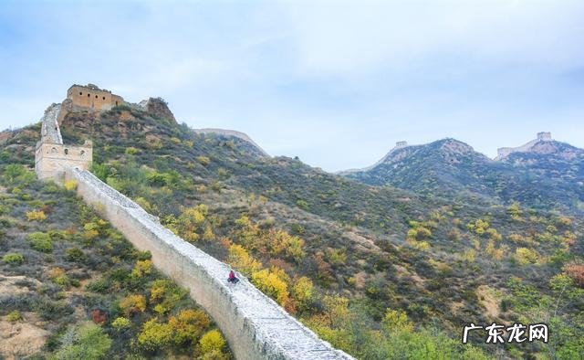 有哪首诗让你一下子就喜欢上了作者