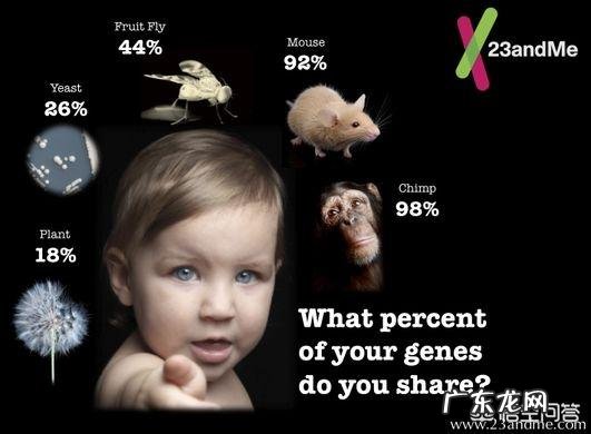 科学家发现动物也有人类基因，这是为什么呢