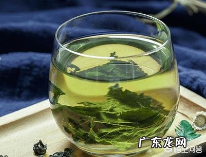 喝桑叶水真的能降血糖、降血脂吗