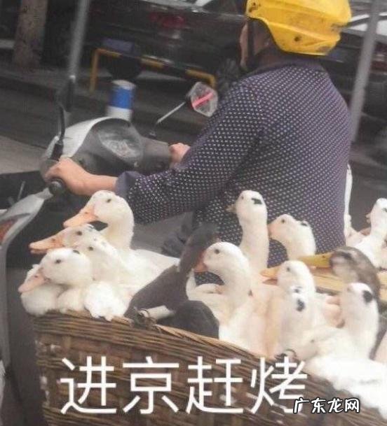 哪些搞笑段子或者图片让你久久忘记不了