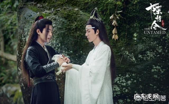 陈情令开播一周年,肖战王一博这一年各自交出怎样的答卷