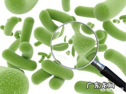 小儿的秋季腹泻,一般每天要拉多少次该怎么办