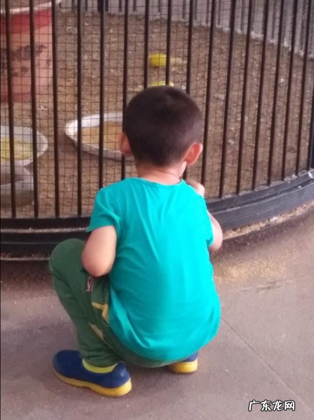 小儿的秋季腹泻,一般每天要拉多少次该怎么办