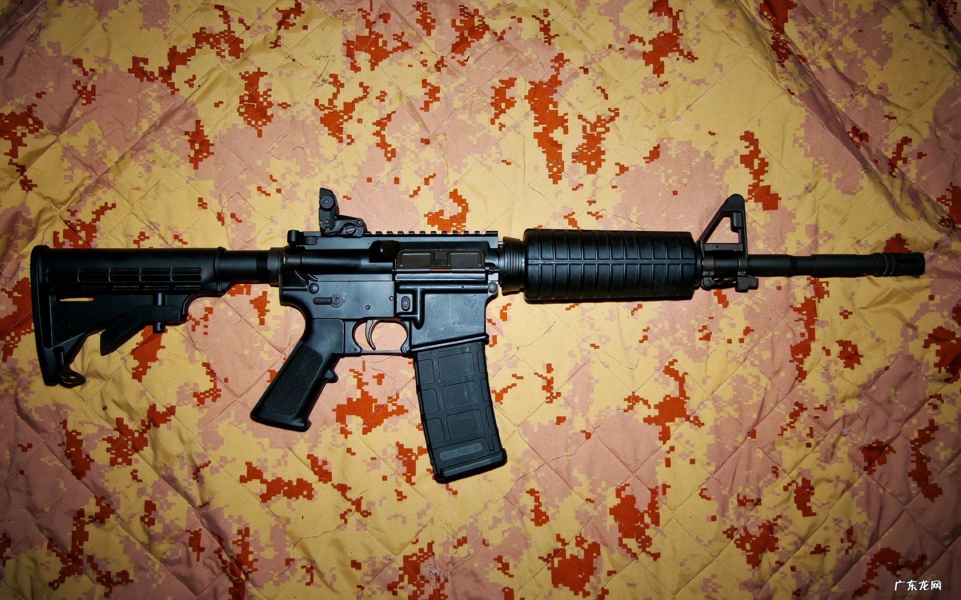 国际流行的饮食减肥法有哪些