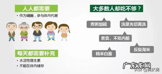 维生素b族的功能与主治 维生素b族片