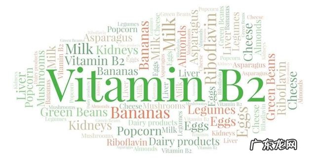 维生素b有几种功效与作用 维生素b起到什么作用与功效