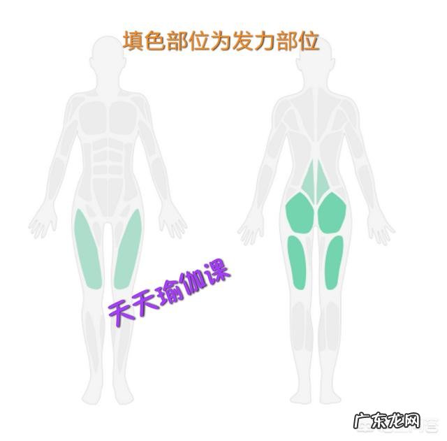 做背部锻炼矫正驼背,有哪些用弹力绳的方法,主要锻炼哪里的肌肉