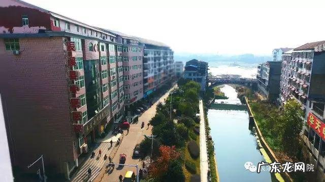 维生素c和维生素k怎么补充 维生素c也可以补充什么