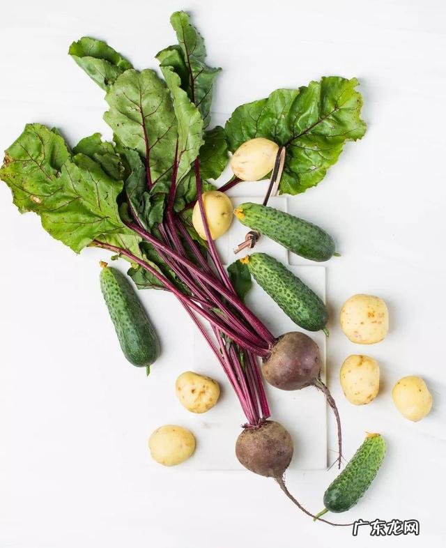 维生素c和维生素k怎么补充 维生素c也可以补充什么