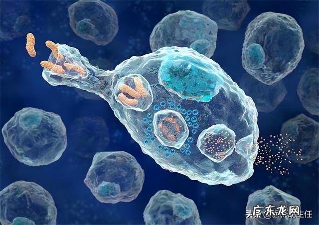 每天吃维生素c的利弊 每天吃一片维生素c的好处与坏处