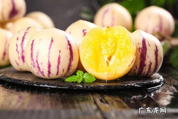 番茄和柠檬哪个维生素c多 100g柠檬和大白菜维生素c谁高