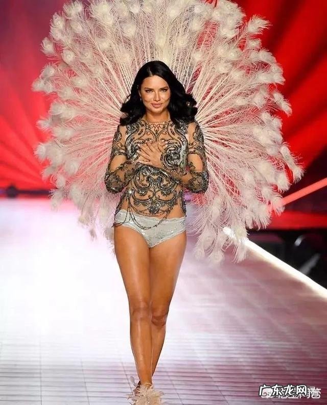 为什么感觉美国人都不看维密大秀了