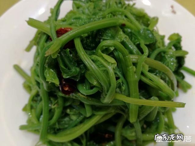 脂肪肝的危害比乙肝更大吗