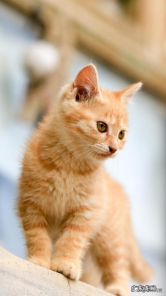 有人说张云雷的相声不好笑，你怎么评价