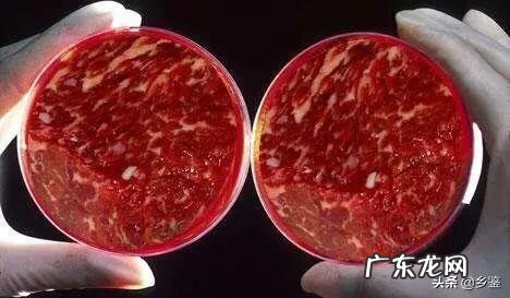 脸部出油,怎么改善油性皮肤,怎么补水怎么减肥更合理