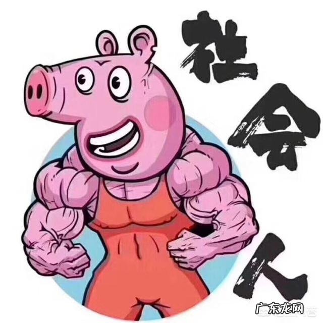 健身的女生必须要吃蛋白粉吗