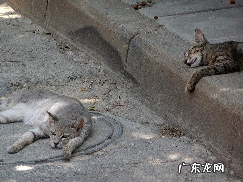 如何正确使用哑铃健身减肥