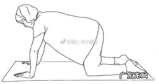 产后是先做力量训练,还是先做康复训练