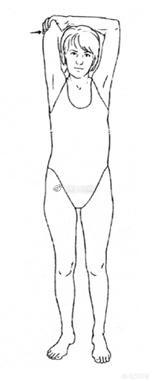 产后是先做力量训练,还是先做康复训练