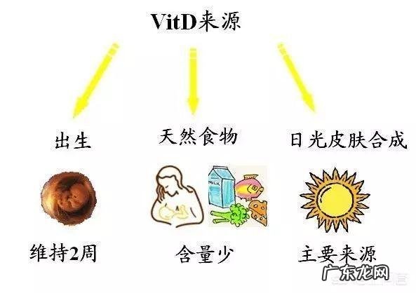 关于维生素d你应该知道的一切