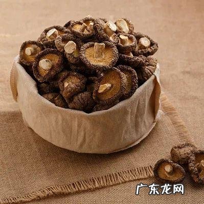 科学家发现维生素d的神奇的作用