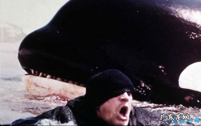 世界十大恐怖歌曲 世界上最恐怖的歌曲