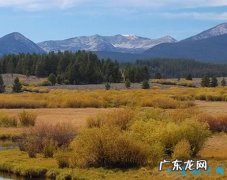 世界上最大陨石坑 直径达300公里