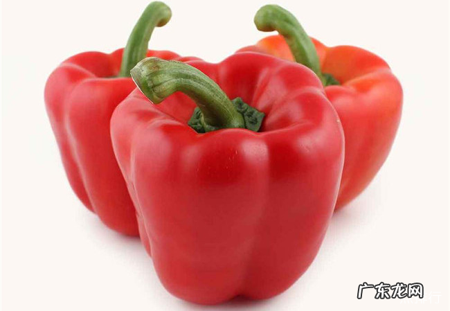 十大健康蔬菜排行 世界十大健康蔬菜