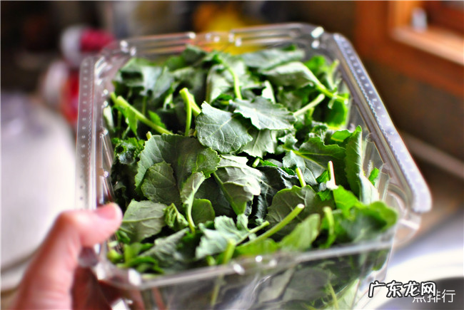 十大健康蔬菜排行 世界十大健康蔬菜