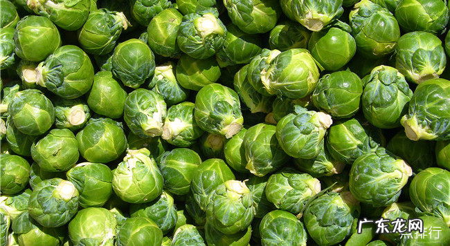 十大健康蔬菜排行 世界十大健康蔬菜