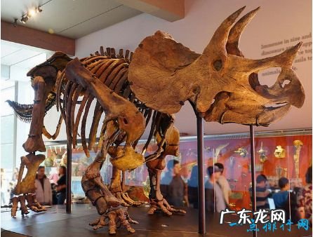 全球十大惊天盗窃案蒙娜丽莎排第五