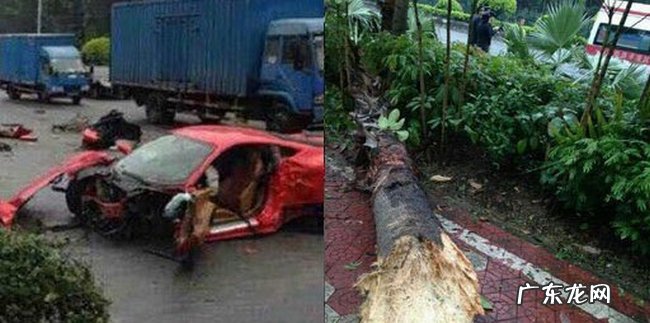 十种不适合学车的人特征 看看你属于哪一类