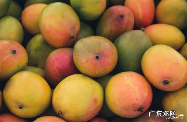 维生素a的食物排行榜 维生素a含量高的食物有哪些