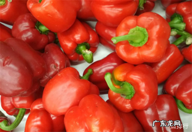 维生素a的食物排行榜 维生素a含量高的食物有哪些